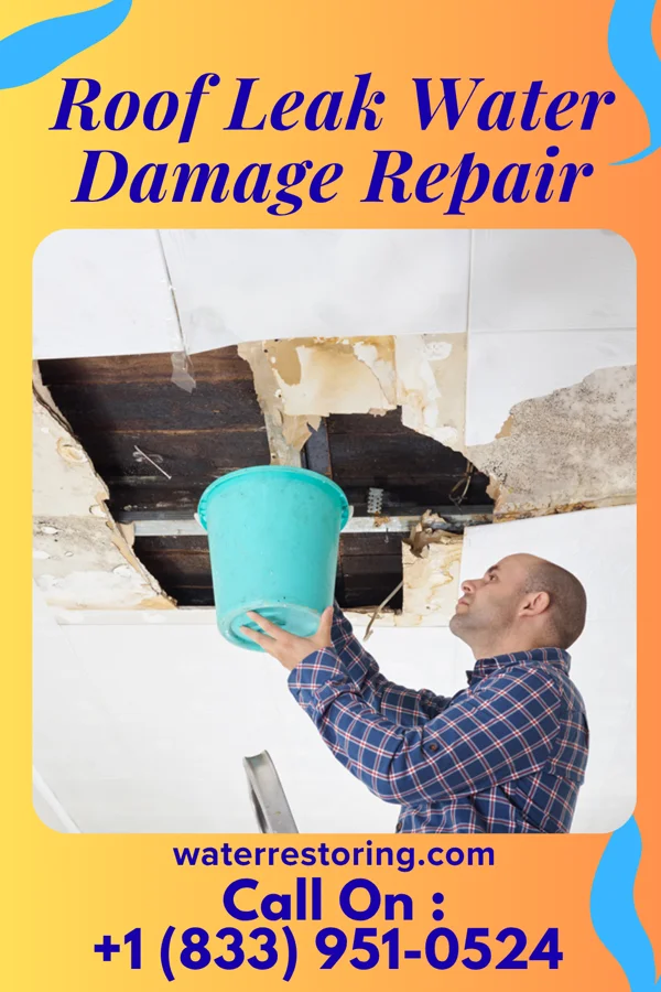 Roof Leak Water Damage Repair in Encore at Monroe, NJ